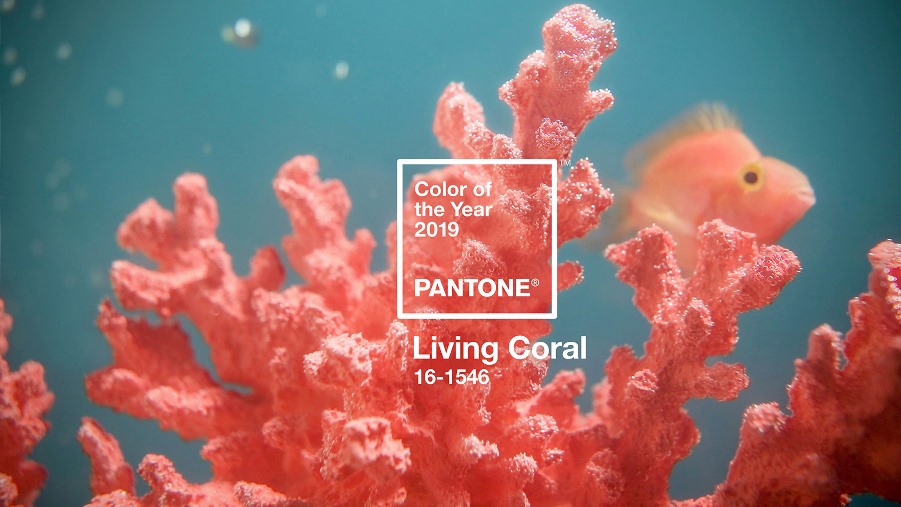pantone-colour-of-year-2019-living-coral-design_dezeen_hero